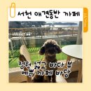 바다로 가는 길목 | 서천 애견동반 까페 바당 ㅡ 바다 뷰와 정원까지 넓어서 제티가 신나게 놀다온 후기