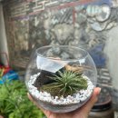 한국화(주간) 이미지