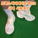 하이페리온 앞 | 아디제로 비교 브룩스 하이페리온 맥스 3 내돈내산 러닝화 후기
