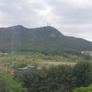 캠프바이오