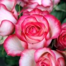 미예담산부인과의원 이미지