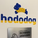 보들보들 유치원 | 인천 애견 카페) 연수역 근처 귀여운 강아지들이 가득한 애견카페 호도독 후기