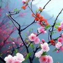 봄을담다 이미지