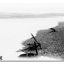 선두4리항 이미지