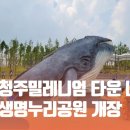 고래공원 이미지