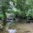 국립유명산자연휴양림 이미지