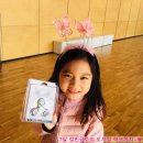 아이레벨트라움벨트 이미지