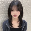 오디크헤어