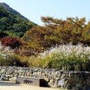 가산수피아 이미지