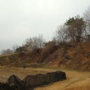 지암흑염소목장 네이버블로그