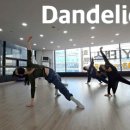 현대무용 민들레 이미지