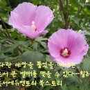 다울에듀 이미지
