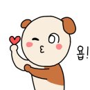 진영보일러 이미지