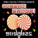 펜타힐즈 태권도장 이미지