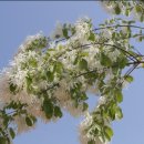 커텐과이불 이미지