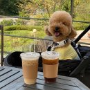 청석에듀씨어터 | [경기 광주] 카페떼아뜨르 - 뷰좋고 프라이빗한 무인카페 경기 광주 대관 카페(애견동반 가능)