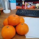 기수농장 이미지