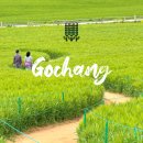 상촌면 간이화장실(초록마을 앞) | 고창 청보리밭 축제 주차장 주차비 입장료 반려동물 유채꽃 개화 상황 TIP