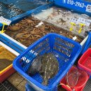 사라수산 이미지