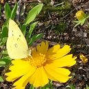 풍경(風景) 이미지