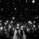 로터스블랑 이미지