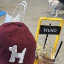 카페훈트 | 유기견 입양카페 훈트 방문 후기