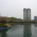 [서울] 도심 속에 자리한 그림 같은 호수, 잠실 석촌호수 (송파나루공원, 매직아일랜드, 삼전도비) 이미지