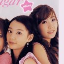 슈가(SUGAR) 이미지