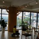 햇빛치과의원 이미지