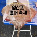 영산포초등학교 | 제19회 영산포 홍어 축제에 다녀온 후기