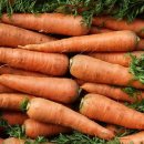 재용농장 이미지