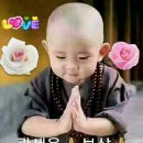 한마음몰 이미지