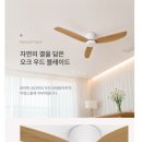 인에어 - 2695 | 인디에어 실링팬 S1 후기｜낮은 천장도 부담 없는 저소음 실링팬 추천