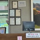 갑동숯골냉면 | 대전 유성구 갑동숯골냉면 평양냉면 전문점 후기