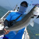 군산바다 이미지