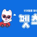 대전펫츠 이미지