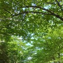 우시장천 이미지