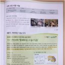 초록디딤돌 이미지