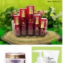 피부미용업계, 점판 확대 ‘총력전’ 이미지