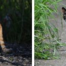 새들의천국 이미지