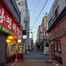 25-10/27-월 양평해장국-아침밥 보라매공원-산책 서울국제정원박람회 도시락-저녁밥 원비료기과의원-진료 이미지