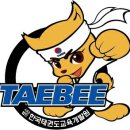 태비 태권도장 이미지