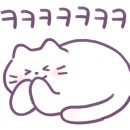 르오네뜨CC 이미지