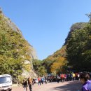 천연머리염색 이미지