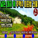여주-0724 네이버블로그