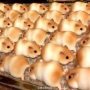 이** 이미지