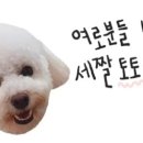 멍클라쓰 이미지