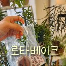 로타베이크 | 울산 동구 두쫀쿠 맛집｜로타베이크 다녀온 솔직후기