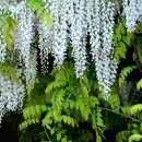 불무공원 이미지