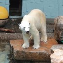 통키통키 이미지